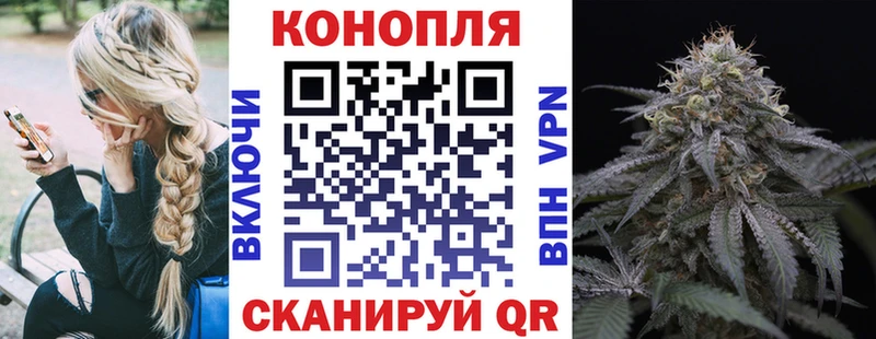 Купить где  Приволжский  Бошки марихуана MAZAR 